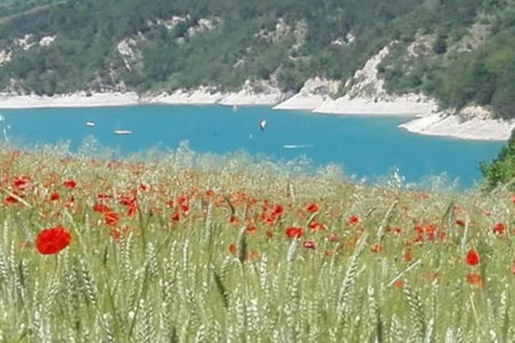 Gite De Charme : La Grange Au Lac Azur Treffort  Buitenkant foto
